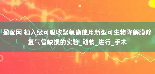 盈配网 植入级可吸收聚氨酯使用新型可生物降解膜修复气管缺损的实验_动物_进行_手术